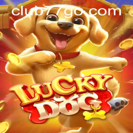 Unveiling the Thrilling World of LuckyDog and CLUB77